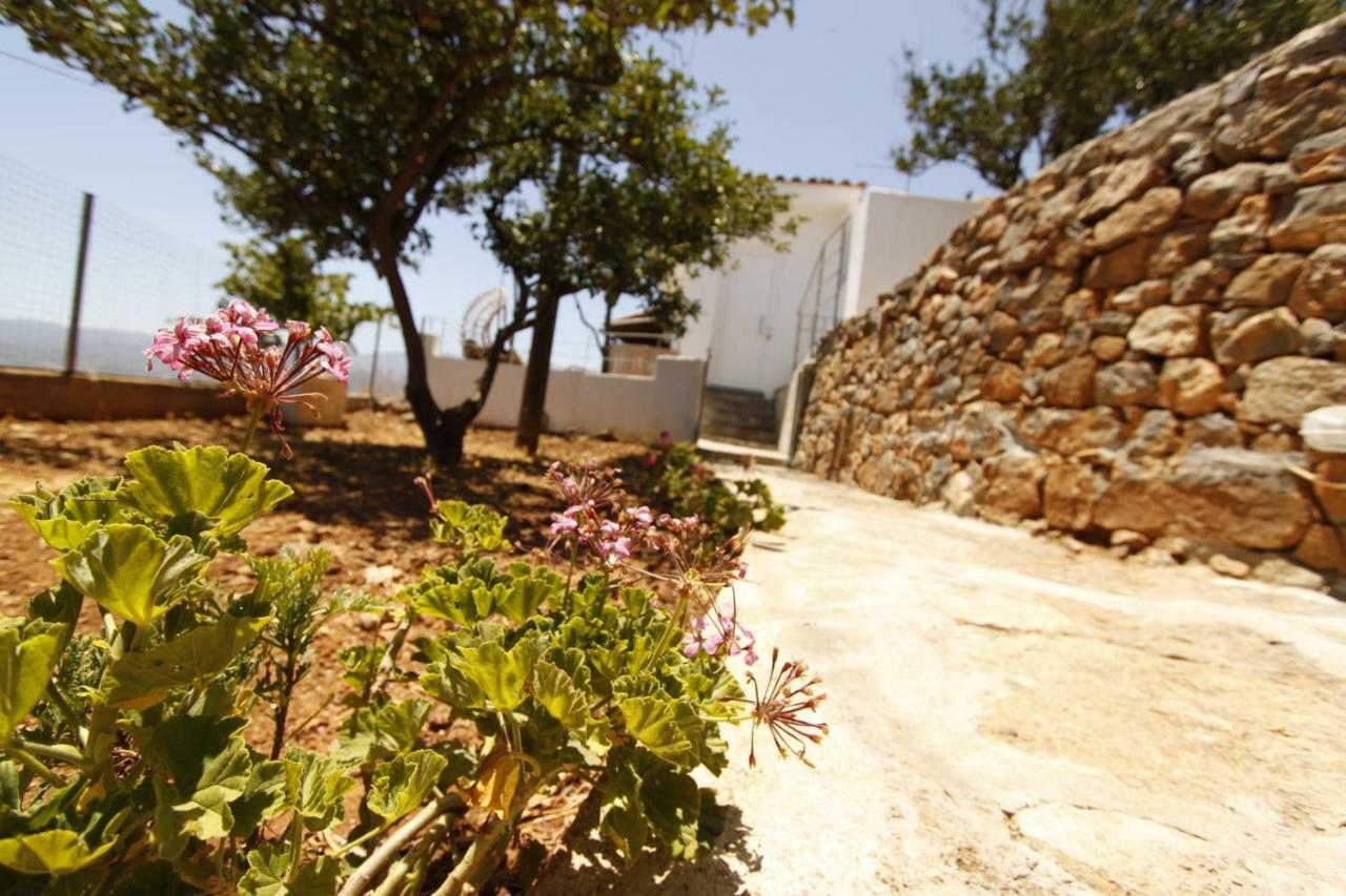 Villa Veranda Agios Nikolaos Exteriör bild